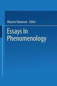 bokomslag Essays in Phenomenology
