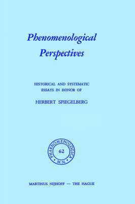 Phenomenological Perspectives 1