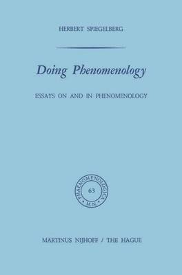 bokomslag Doing Phenomenology