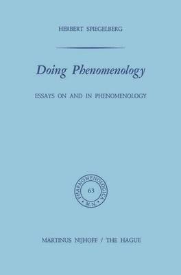 bokomslag Doing Phenomenology