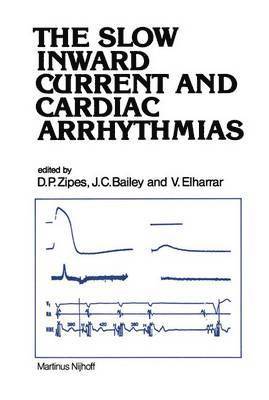 bokomslag The Slow Inward Current and Cardiac Arrhythmias