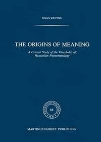 bokomslag The Origins of Meaning