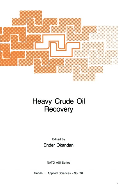 E. Okandan - Heavy Crude Oil Recovery, Inbunden