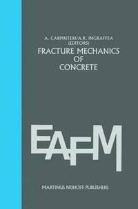 bokomslag Fracture mechanics of concrete: Material characterization and testing