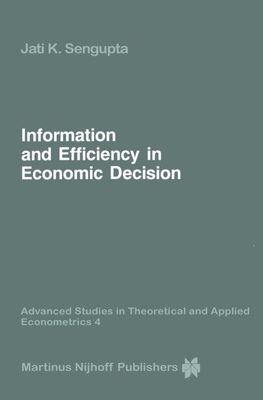Jati Sengupta - Information and Efficiency in Economic Decision, Inbunden
