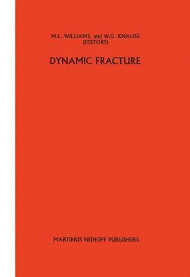 bokomslag Dynamic fracture