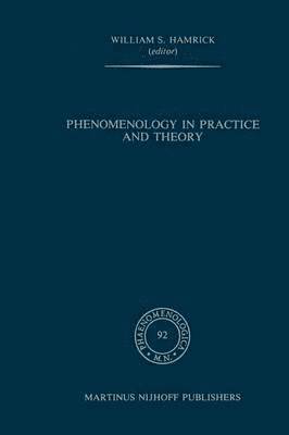 Phenomenology in Practice and Theory 1