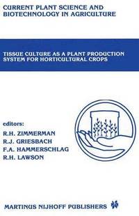 bokomslag Tissue culture as a plant production system for horticultural crops
