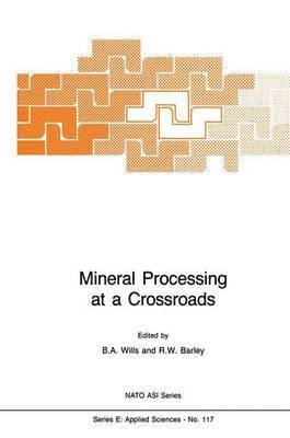 bokomslag Mineral Processing at a Crossroads