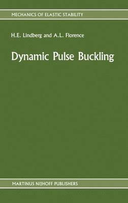 bokomslag Dynamic Pulse Buckling