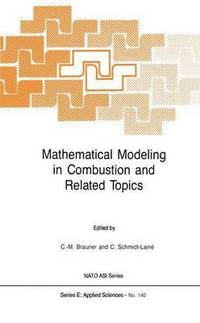 bokomslag Mathematical Modeling in Combustion and Related Topics