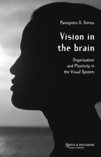 bokomslag Vision in the Brain