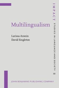 bokomslag Multilingualism