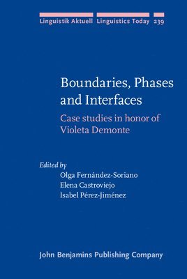 Boundaries, Phases and Interfaces 1