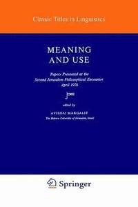 bokomslag Meaning and Use