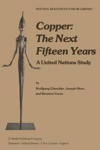 bokomslag Copper: The Next Fifteen Years