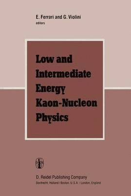 Low and Intermediate Energy Kaon-Nucleon Physics 1