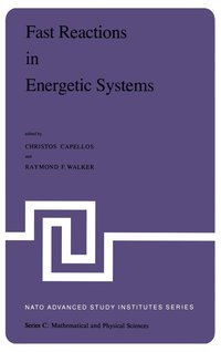 bokomslag Fast Reactions in Energetic Systems