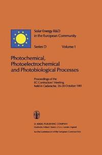 bokomslag Photochemical, Photoelectrochemical and Photobiological Processes, Vol.1