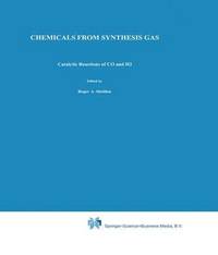 bokomslag Chemicals from Synthesis Gas