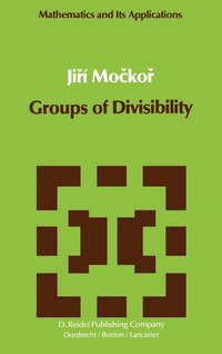 bokomslag Groups of Divisibility