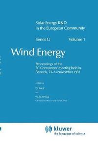 bokomslag Wind Energy