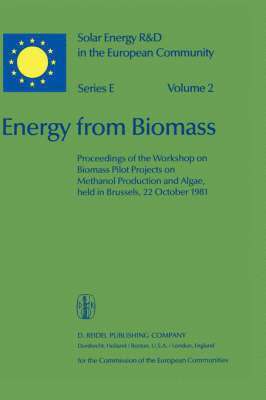 bokomslag Energy from Biomass