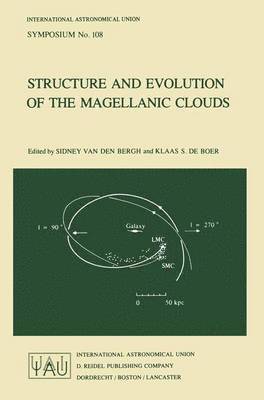 bokomslag Structure and Evolution of the Magellanic Clouds