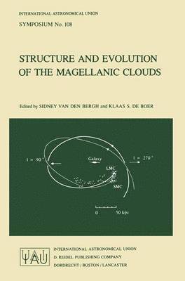 Structure and Evolution of the Magellanic Clouds 1