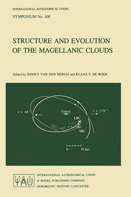 Structure and Evolution of the Magellanic Clouds 1