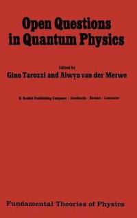bokomslag Open Questions in Quantum Physics