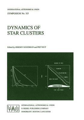 bokomslag Dynamics of Star Clusters