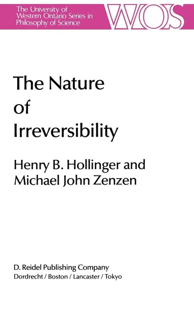 bokomslag Nature of Irreversibility