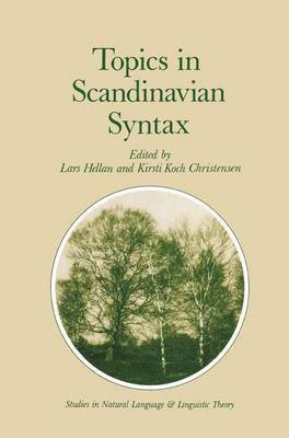 bokomslag Topics in Scandinavian Syntax