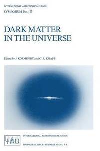 bokomslag Dark Matter in the Universe