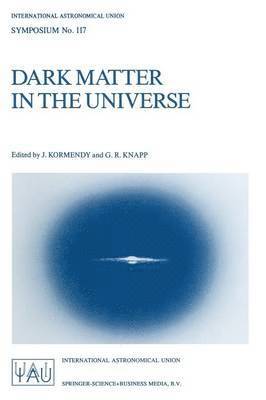 bokomslag Dark Matter in the Universe