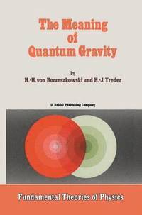 bokomslag The Meaning of Quantum Gravity