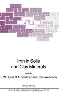 bokomslag Iron in Soils and Clay Minerals