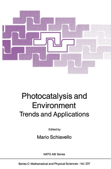 bokomslag Photocatalysis and Environment