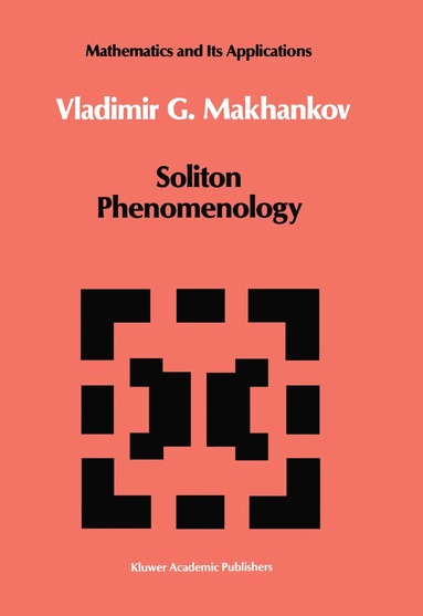 bokomslag Soliton Phenomenology