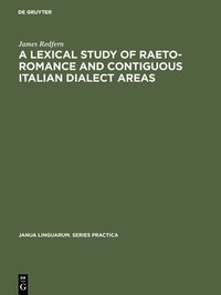 bokomslag A Lexical Study of Raeto-Romance and Contiguous Italian Dialect Areas