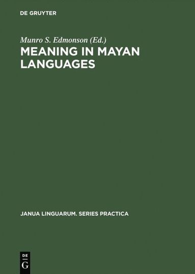 bokomslag Meaning in Mayan Languages
