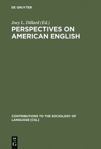 bokomslag Perspectives on American English