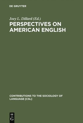 Perspectives on American English 1