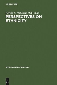 bokomslag Perspectives on Ethnicity