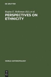 bokomslag Perspectives on Ethnicity