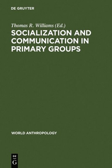 bokomslag Socialization and Communication in Primary Groups