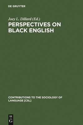 bokomslag Perspectives on Black English
