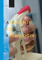bokomslag Anatomie En Fysiologie: Basiswerk V&v, Niveau 4