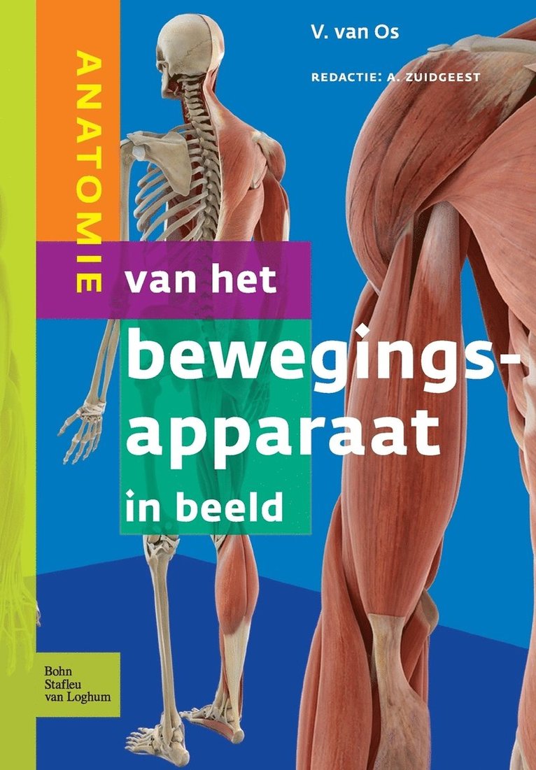 Anatomie Van Het Bewegingsapparaat in Beeld 1